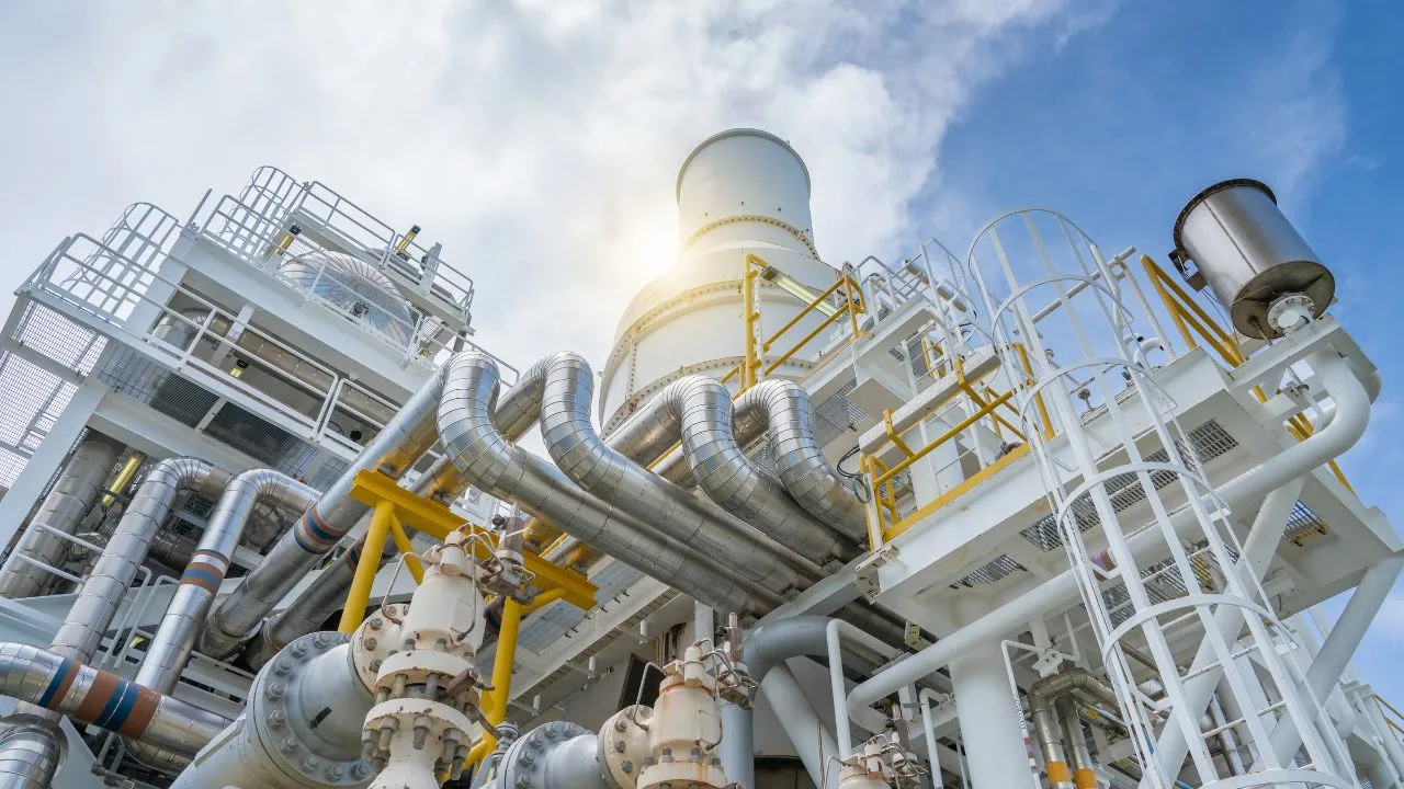 Petrochemical plant
